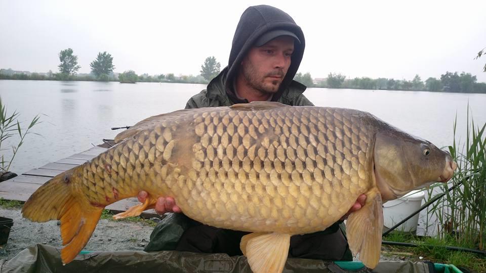  pescuit 2017 - 1827494015168039483524198217252590357282608n.jpg